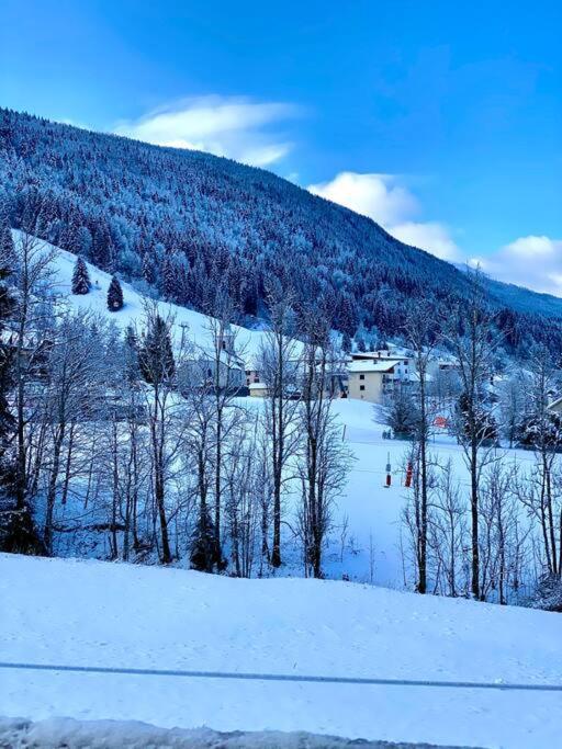 Charmant Appartement Au Pied Des Pistes De Lélex المظهر الخارجي الصورة